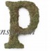 Large (15") Moss Monogram, A   555722617